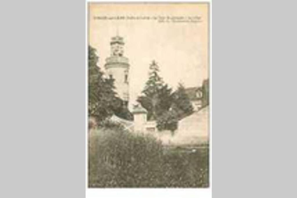 Le Logis De La Tour Saint Jacques Villa Chouzé-sur-Loire Dış mekan fotoğraf